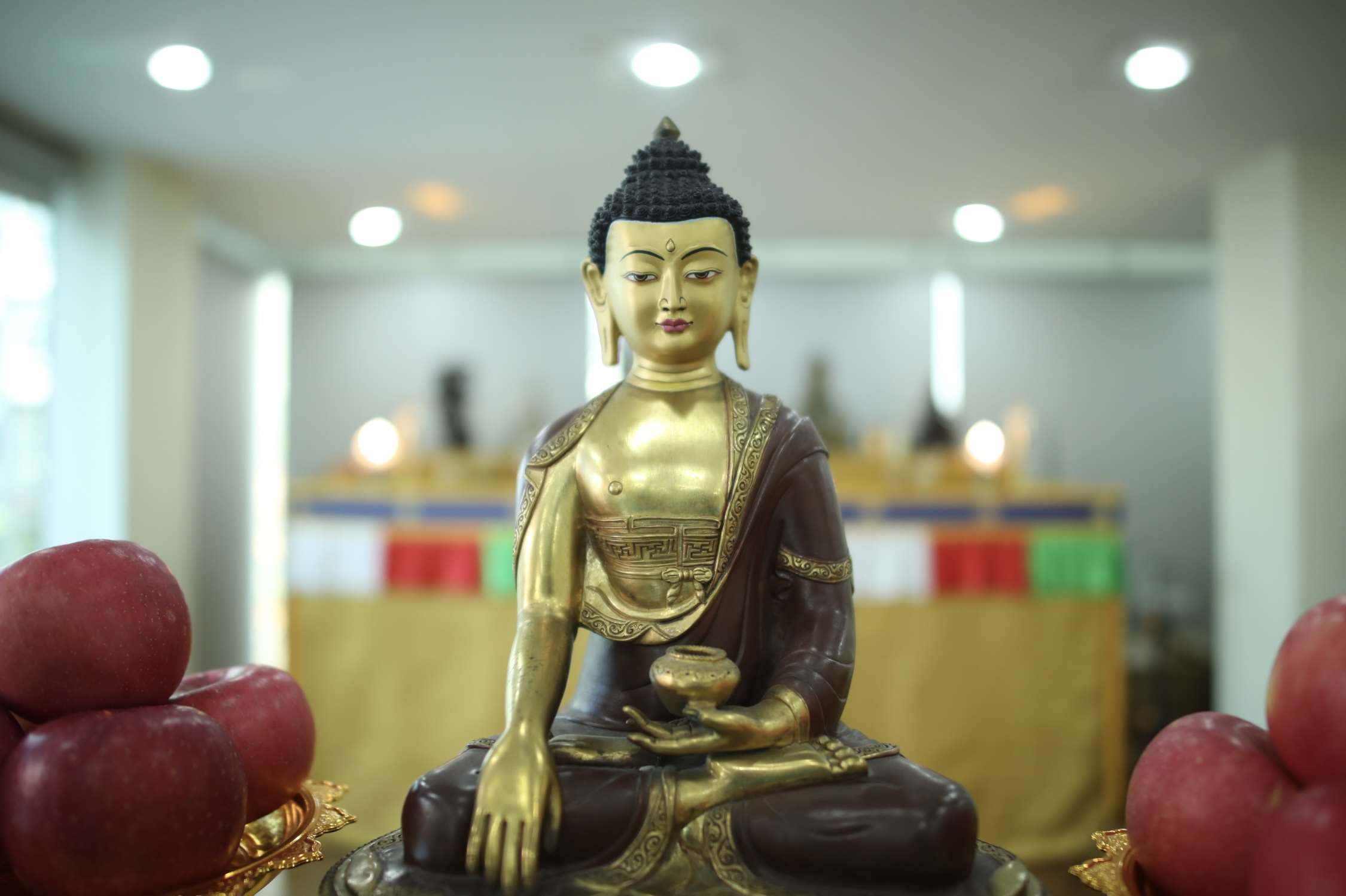 2016年十一禅期
