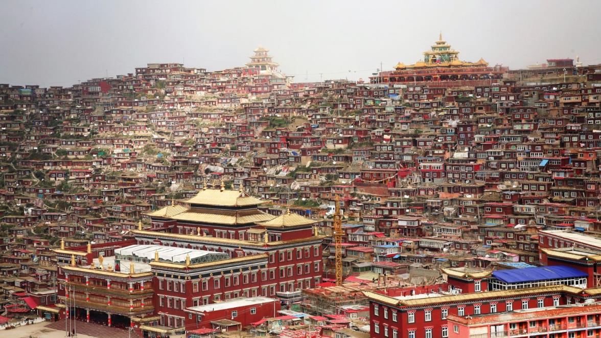 《佛说无量寿经》第137课