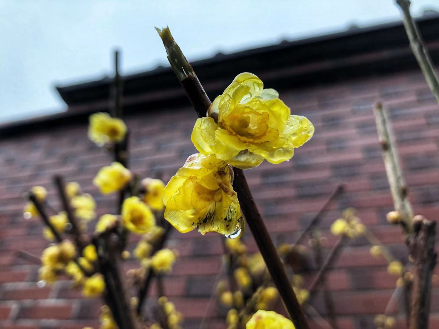 憨山大师窍诀开示——憨山大师简介及年谱09 憨山大师窍诀开示——憨山大师简介及年谱09